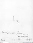 Historisches Foto (Rückseite) von Laeviprosopon fraasi nov. subspec. (Moericke, 1889) (NHMW-AFW-GEO-BACHMAYER-FOTO-1990-0041-2098)
